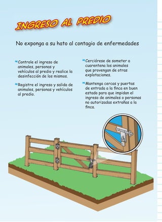 o al predio
Ingres
No exponga a su hato al contagio de enfermedades
Controle el ingreso de
animales, personas y
vehículos al predio y realice la
desinfección de los mismos.

*

Registre el ingreso y salida de
animales, personas y vehículos
al predio.

*

Cerciórese de someter a

*cuarentena los animales
que provengan de otras
explotaciones.

Mantenga cercas y puertas
de entrada a la ﬁnca en buen
estado para que impidan el
ingreso de animales o personas
no autorizadas extrañas a la
ﬁnca.

*

 