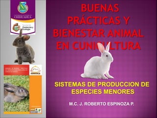 SISTEMAS DE PRODUCCION DE
ESPECIES MENORES
M.C. J. ROBERTO ESPINOZA P.
 