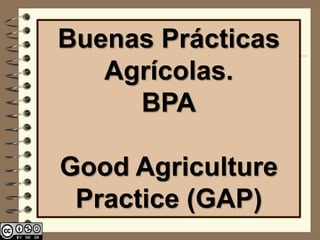 Buenas Prácticas
   Agrícolas.
     BPA

Good Agriculture
 Practice (GAP)
 
