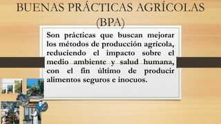 BUENAS PRÁCTICAS AGRÍCOLAS
(BPA)
Son prácticas que buscan mejorar
los métodos de producción agrícola,
reduciendo el impacto sobre el
medio ambiente y salud humana,
con el fin último de producir
alimentos seguros e inocuos.
 
