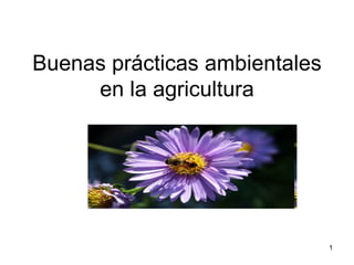 Buenas prácticas ambientales
     en la agricultura




                               1
 