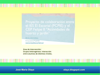 Área de intervención: 
Grupos heterogéneos: interacción 
entre alumnos de distintos niveles. 
José María Olayo olayo.blogspot.com 
 
