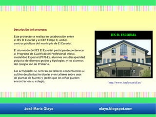Descripción del proyecto: 
Este proyecto se realiza en colaboración entre 
el IES El Escorial y el CEP Felipe II, ambos 
centros públicos del municipio de El Escorial. 
El alumnado del IES El Escorial participante pertenece 
al Programa de Cualificación Profesional Inicial, 
modalidad Especial (PCPI-E), alumnos con discapacidad 
psíquica de diversos grados y tipologías; y los alumnos 
del colegio son de Primaria. 
Las actividades se centran en talleres concernientes al 
cultivo de plantas hortícolas y en talleres sobre usos 
de plantas de huerto y jardín que los niños pueden 
encontrar en su colegio. http://www.ieselescorial.es/ 
José María Olayo olayo.blogspot.com 
 