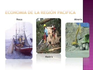  Montañas: el clima es más fresco y las condiciones son mucho más extremas en invierno.