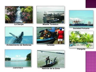 Departamento de Antioquia.ECONOMIA DE LA REGIÓN PACIFICAPesca Minería Madera