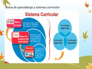Rutas de aprendizaje y sistema curricular
 