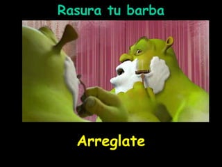 Rasura tu barba

Arreglate

 