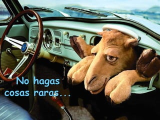 No hagasNo hagas
cosas raras...cosas raras...
 