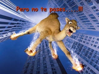 Pero no te pases.....!!!Pero no te pases.....!!!
 