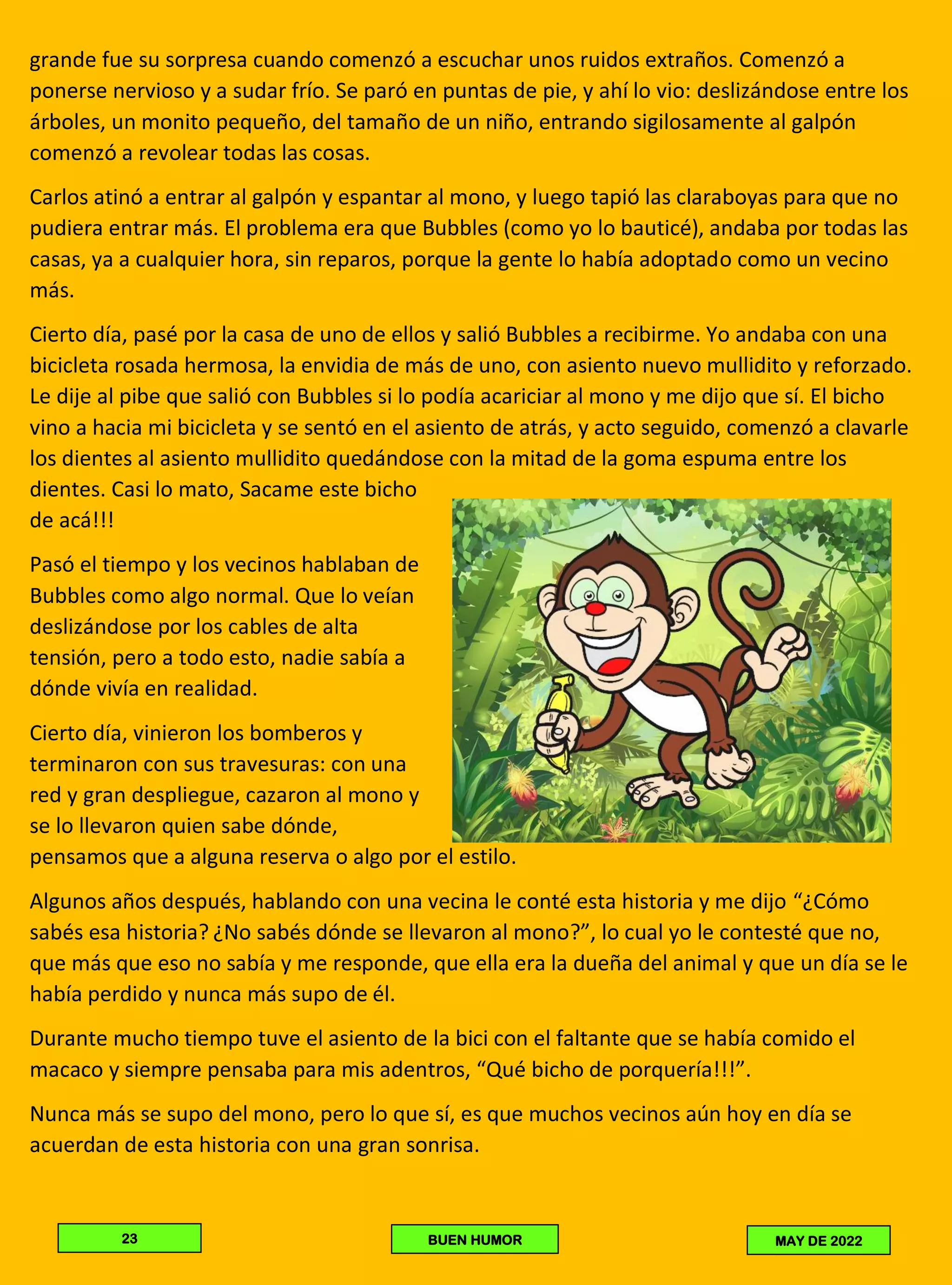 grande fue su sorpresa cuando comenzó a escuchar unos ruidos extraños. Comenzó a
ponerse nervioso y a sudar frío. Se paró en puntas de pie, y ahí lo vio: deslizándose entre los
árboles, un monito pequeño, del tamaño de un niño, entrando sigilosamente al galpón
comenzó a revolear todas las cosas.
Carlos atinó a entrar al galpón y espantar al mono, y luego tapió las claraboyas para que no
pudiera entrar más. El problema era que Bubbles (como yo lo bauticé), andaba por todas las
casas, ya a cualquier hora, sin reparos, porque la gente lo había adoptado como un vecino
más.
Cierto día, pasé por la casa de uno de ellos y salió Bubbles a recibirme. Yo andaba con una
bicicleta rosada hermosa, la envidia de más de uno, con asiento nuevo mullidito y reforzado.
Le dije al pibe que salió con Bubbles si lo podía acariciar al mono y me dijo que sí. El bicho
vino a hacia mi bicicleta y se sentó en el asiento de atrás, y acto seguido, comenzó a clavarle
los dientes al asiento mullidito quedándose con la mitad de la goma espuma entre los
dientes. Casi lo mato, Sacame este bicho
de acá!!!
Pasó el tiempo y los vecinos hablaban de
Bubbles como algo normal. Que lo veían
deslizándose por los cables de alta
tensión, pero a todo esto, nadie sabía a
dónde vivía en realidad.
Cierto día, vinieron los bomberos y
terminaron con sus travesuras: con una
red y gran despliegue, cazaron al mono y
se lo llevaron quien sabe dónde,
pensamos que a alguna reserva o algo por el estilo.
Algunos años después, hablando con una vecina le conté esta historia y me dijo “¿Cómo
sabés esa historia? ¿No sabés dónde se llevaron al mono?”, lo cual yo le contesté que no,
que más que eso no sabía y me responde, que ella era la dueña del animal y que un día se le
había perdido y nunca más supo de él.
Durante mucho tiempo tuve el asiento de la bici con el faltante que se había comido el
macaco y siempre pensaba para mis adentros, “Qué bicho de porquería!!!”.
Nunca más se supo del mono, pero lo que sí, es que muchos vecinos aún hoy en día se
acuerdan de esta historia con una gran sonrisa.
23 BUEN HUMOR MAY DE 2022
 