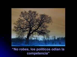 “ No robes, los políticos odian la competencia” 