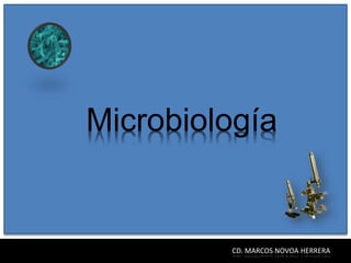 Microbiología
CD. MARCOS NOVOA HERRERA
 