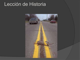 Lección de Historia
 