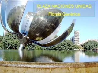 PLAZA NACIONES UNIDAS Florais Genérica 