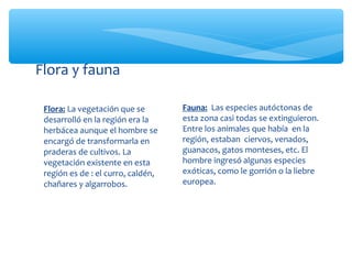 Flora y fauna

 Flora: La vegetación que se        Fauna: Las especies autóctonas de
 desarrolló en la región era la     e...
