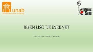 BUEN USO DE INTERNET
LEIDY JULLIE CARREÑO CAMACHO
 