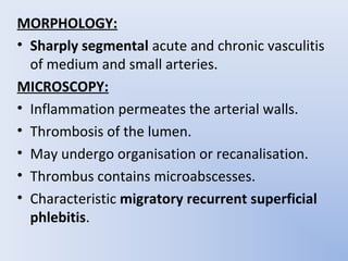 MORPHOLOGY:
• Sharply segmental acute and chronic vasculitis
  of medium and small arteries.
MICROSCOPY:
• Inflammation permeates the arterial walls.
• Thrombosis of the lumen.
• May undergo organisation or recanalisation.
• Thrombus contains microabscesses.
• Characteristic migratory recurrent superficial
  phlebitis.
 
