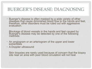 BUERGER’S DISEASE: DIAGNOSING
• Buerger's disease is often masked by a wide variety of other
diseases that cause diminished blood flow to the hands and feet,
therefore, other disorders must be ruled out with aggressive
evaluation.
Blockage of blood vessels in the hands and feet caused by
Buerger's disease may be detected by one of the following
methods:
• An angiogram or an arteriogram of the upper and lower
extremities
• A Doppler ultrasound
Skin biopsies are rarely used because of concern that the biopsy
site near an area with poor blood circulation will not heal.
 