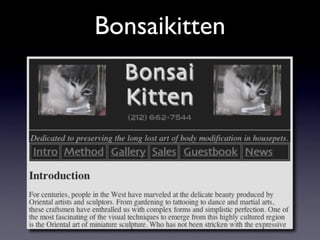 Bufale e Leggende Metropolitane