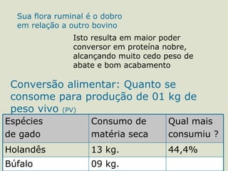 Sua flora ruminal é o dobro
  em relação a outro bovino
                Isto resulta em maior poder
                conversor em proteína nobre,
                alcançando muito cedo peso de
                abate e bom acabamento

 Conversão alimentar: Quanto se
 consome para produção de 01 kg de
 peso vivo (PV)
Espécies             Consumo de       Qual mais
de gado              matéria seca     consumiu ?
Holandês             13 kg.           44,4%
Búfalo               09 kg.
 