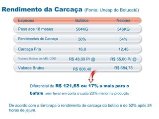 Rendimento da Carcaça                      (Fonte: Unesp de Botucatú)

     Espécies                         Búfalos                Nelores

     Peso aos 18 meses                504KG                   346KG

     Rendimentos de Carcaça             50%                    54%

     Carcaça Fria                       16,8                  12,45

     Valores Médios em MS / 2005   R$ 48,00 P/ @          R$ 55,00 P/ @

     Valores Brutos                  R$ 806,40              R$ 684,75



             Diferencial de R$ 121,65 ou 17% a mais para o
             búfalo, sem levar em conta o custo 20% menor na produção


 De acordo com a Embrapa o rendimento de carcaça do búfalo é de 52% após 24
 horas de jejum.
 