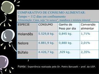 COMPARATIVO DE CONSUMO ALIMENTAR:
Tempo = 112 dias em confinamento
Alimentação: Cana, soja “in natura”, mandioca e mistura mineral
ESPECIE           CONSUMO           Ganho de            Conversão
                                    Peso por dia        alimentar

Holandês          5.529,8 kg.       0,845 kg.           1,71%


Nelore            4.881,9 kg.       0,880 kg.           2,01%


Búfalo            4.426,7 kg.       ,929 kg.            2,35%




Fonte: Experiência realizada pelo Dr. Pietro Baruselli – prof. da USP.
 
