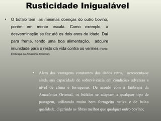 Rusticidade Inigualável
•   O búfalo tem as mesmas doenças do outro bovino,
    porém       em       menor       escala.   Como   exemplo,   a
    desverminação se faz até os dois anos de idade. Daí
    para frente, tendo uma boa alimentação,                adquire
    imunidade para o resto da vida contra os vermes (Fonte:
    Embrapa da Amazônia Oriental).




                     •   Alem das vantagens constantes dos dados retro,       acrescenta-se
                         ainda sua capacidade de sobrevivência em condições adversas a
                         nível de clima e forrageiras. De acordo com a Embrapa da
                         Amazônica Oriental, os búfalos se adaptam a qualquer tipo de
                         pastagem, utilizando muito bem forrageira nativa e de baixa
                         qualidade, digerindo as fibras melhor que qualquer outro bovino;
 