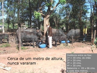 Distância entre os fios:
Cerca de um metro de altura,   1º = 30 cms. do chão
                               2º = 20 cms.
nunca vararam                  3º = 20 cms.
                               4º = 30 cms.
                               Balancins = 05 x 06 cms.
                               a cada dois metros.
 