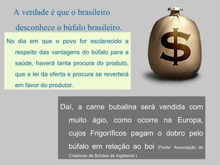 A verdade é que o brasileiro
  desconhece o búfalo brasileiro.
No dia em que o povo for esclarecido a
  respeito das vantagens do búfalo para a
  saúde, haverá tanta procura do produto,
  que a lei da oferta e procura se reverterá
  em favor do produtor.


                  Daí, a carne bubalina será vendida com
                     muito ágio, como ocorre na Europa,
                     cujos Frigoríficos pagam o dobro pelo
                     búfalo em relação ao boi               (Fonte: Associação de
                     Criadores de Búfalos da Inglaterra )
 
