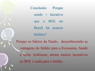Conclusão:     Porque
           sendo + lucrativo
           que o BOI, no
           Brasil há poucos
           búfalos?
Porque os lideres da Nação, desconhecendo as
  vantagens do búfalo para a Economia, Saúde
  e Meio Ambiente, deram muitos incentivos
  ao BOI e nada para o búfalo.
 