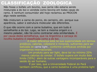 CLASSIFICAÇÃO ZOOLOGICA
Não fosse o búfalo um bovino, sua carne não estaria sendo
misturada a do boi e vendida como bovina em todas casas do
ramo. E nenhum consumidor até hoje reclamou ao PROCON
algo neste sentido.
Não misturam a carne do porco, do carneiro, etc. porque sua
aparência, sabor e estrutura molecular são diferentes.
O que não ocorre com a carne bubalina, que em tudo é
semelhante a do boi. Logo, se tem a mesma origem e o
mesmo paladar, não há como contrariar esta similaridade. É
por causa desta semelhança, que na Argentina a carcaça do
novilho bubalino é classificada como a do boi.
                    A maior diferença está na sua superioridade em termos
             protéicos, calorias, colesterol e minerais, suficentes para ser
             batizada de carne light., conforme certificacao emitida por
             organismos internacionais.
                     Um produto para ser light, deve ter no mínimo 25%
               menos calorias do similar. O búfalo supera em muito êste
             limite (55%) alem de outras vantagens incomparáveis para a
             saúde do ser humano.
                     É por isso, que a Universidade Federal do Pará
             tambem certificou, que a carne bubalina é uma proteína light
 