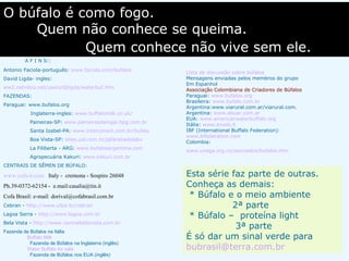 O búfalo é como fogo.
    Quem não conhece se queima.
            Quem conhece não vive sem ele.
         A F I N S::
Antonio Faciola-português: www.faciola.com/bufalos
                                                            Lista de discussão sobre búfalos
David Ligda- ingles:                                        Mensagens enviadas pelos membros do grupo
                                                            Em Espanhol
ww2.netnitco.net/users/djligda/waterbuf.htm
                                                            Associação Colombiana de Criadores de Búfalos
FAZENDAS:                                                   Paraguai: www.bufalos.org
                                                            Brasileira: www.bufalo.com.br
Paraguai: www.bufalos.org
                                                            Argentina:www.viarural.com.ar/viarural.com.
            Inglaterra-ingles: www.buffalomilk.co.uk/       Argentina: www.abuar.com.ar
                                                            EUA: www.americanwaterbuffalo.org
           Paineiras-SP: www.paineirasdaingai.hpg.com.br
                                                            Itália: www.anasb.it
           Santa Izabel-PA: www.interconect.com.br/bufalo   IBF (International Buffalo Federation):
                                                            www.ibfederation.com
           Boa Vista-SP: sites.uol.com.br/jafarabadidabv
                                                            Colombia:
           La Filiberta - ARG: www.bufalosargentina.com
                                                            www.unaga.org.co/asociados/bufalos.htm
           Agropecuária Kakuri: www.kakuri.com.br
CENTRAIS DE SÊMEN DE BÚFALO:

www.cofa-it.com Italy - cremona - Sospiro 26048             Esta série faz parte de outras.
Ph.39-0372-62154 - e.mail:casalia@tin.it                    Conheça as demais:
Cofa Brasil: e-mail: dorival@cofabrasil.com.br               * Búfalo e o meio ambiente
Cebran - http://www.ufpa.br/cebran                                     2ª parte
Lagoa Serra - http://www.lagoa.com.br
                                                             * Búfalo – proteína light
Bela Vista - http://www.centralbelavista.com.br
                                                                        3ª parte
Fazenda de Búfalos na Itália
         Buffalo Milk                                       É só dar um sinal verde para
           Fazenda de Búfalos na Inglaterra (inglês)
         Water Buffalo for sale                             bubrasil@terra.com.br
           Fazenda de Búfalos nos EUA (inglês)
 