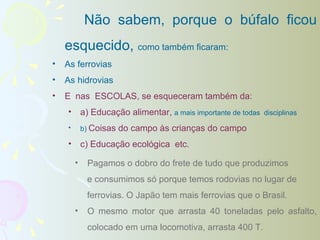 Não sabem, porque o búfalo ficou
    esquecido, como também ficaram:
•   As ferrovias
•   As hidrovias
•   E nas ESCOLAS, se esqueceram também da:
    •       a) Educação alimentar, a mais importante de todas disciplinas
    •       b) Coisas   do campo às crianças do campo
    •       c) Educação ecológica etc.

        •    Pagamos o dobro do frete de tudo que produzimos
             e consumimos só porque temos rodovias no lugar de
             ferrovias. O Japão tem mais ferrovias que o Brasil.
        •    O mesmo motor que arrasta 40 toneladas pelo asfalto,
             colocado em uma locomotiva, arrasta 400 T.
 