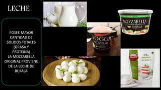LECHE
POSEE MAYOR
CANTIDAD DE
SOLIDOS TOTALES
(GRASA Y
PROTEINA)
LA MOZZARELLA
ORIGINAL PROVIENE
DE LA LECHE DE
BUFALA
 