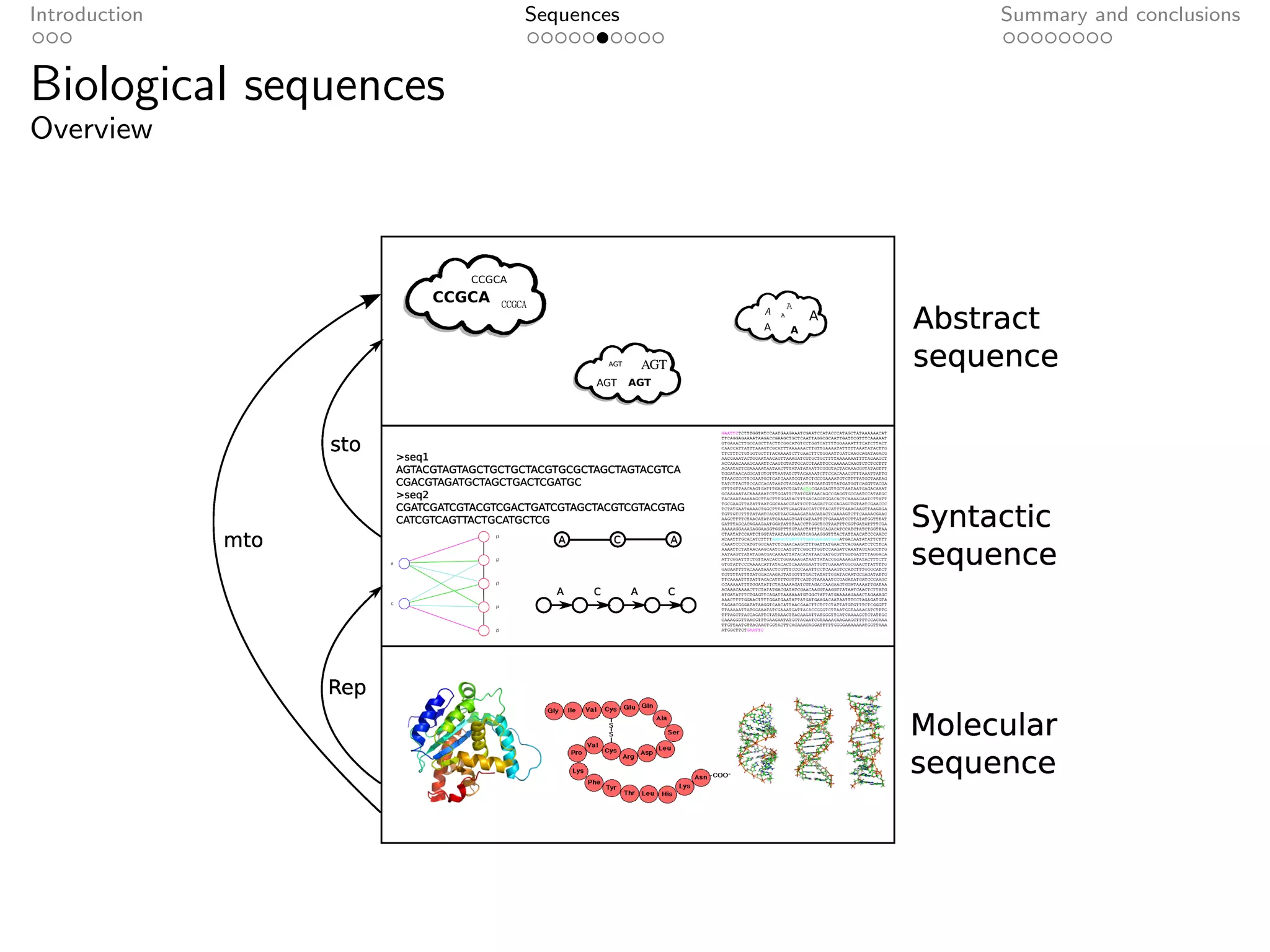 Introduction           Sequences   Summary and conclusions


Biological sequences
Overview
 