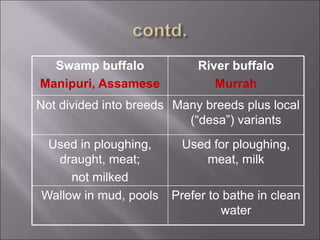 Swamp buffalo
Manipuri, Assamese
River buffalo
Murrah
Not divided into breeds Many breeds plus local
(“desa”) variants
Used in ploughing,
draught, meat;
not milked
Used for ploughing,
meat, milk
Wallow in mud, pools Prefer to bathe in clean
water
 