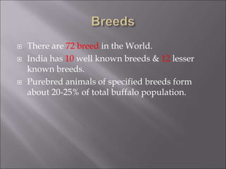  There are 72 breed in the World.
 India has 10 well known breeds & 12 lesser
known breeds.
 Purebred animals of specified breeds form
about 20-25% of total buffalo population.
 