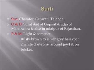  Syn: Charator, Gujarati, Talabda.
 O & D: Surat dist of Gujarat & adjn of
Maharastra & also in udaipur of Rajasthan.
 P & M: Light & compact.
Rusty brown to silver grey hair coat
2 white chevrons- around jowl & on
brisket.
 