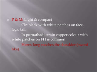 P & M: Light & compact
Clr: black with white patches on face,
legs, tail.
In purnathadi strain copper colour with
white patches on FH is common
Horns long reaches the shoulder (sword
like).
 