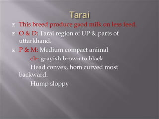  This breed produce good milk on less feed.
 O & D: Tarai region of UP & parts of
uttarkhand.
 P & M: Medium compact animal
clr: grayish brown to black
Head convex, horn curved most
backward.
Hump sloppy
 