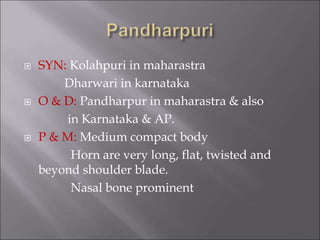  SYN: Kolahpuri in maharastra
Dharwari in karnataka
 O & D: Pandharpur in maharastra & also
in Karnataka & AP.
 P & M: Medium compact body
Horn are very long, flat, twisted and
beyond shoulder blade.
Nasal bone prominent
 