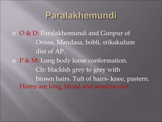  O & D: Paralakhemundi and Gunpur of
Orissa, Mandasa, bobli, srikakulum
dist of AP.
 P & M: Long body loose conformation.
Clr: blackish grey to grey with
brown hairs. Tuft of hairs- knee, pastern.
Horns are long, broad and semicircular.
 