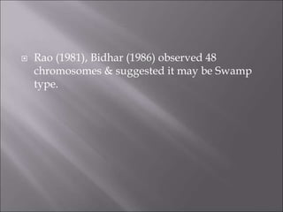  Rao (1981), Bidhar (1986) observed 48
chromosomes & suggested it may be Swamp
type.
 