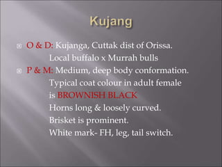  O & D: Kujanga, Cuttak dist of Orissa.
Local buffalo x Murrah bulls
 P & M: Medium, deep body conformation.
Typical coat colour in adult female
is BROWNISH BLACK
Horns long & loosely curved.
Brisket is prominent.
White mark- FH, leg, tail switch.
 