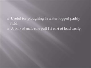  Useful for ploughing in water logged paddy
field.
 A pair of male can pull 1½ cart of load easily.
 
