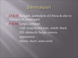  O & D: Bargarh, sambalpur of Orissa & also in
Bilaspur of chattisgarh.
 P & M: Large, compact
Calf- long brown hair, Adult- black
FH- distinctly bulge, convex
appearance
Horns- short, semi-circle
 