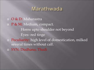  O & D: Maharastra
 P & M: Medium, compact.
Horns upto shoulder not beyond
Eyes- red tinge
 Peculiarity: high level of domestication, milked
several times without calf.
 SYN: Dudhana, Thadi
 