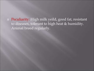  Peculiarity: High milk yeild, good fat, resistant
to diseases, tolerant to high heat & humidity.
Animal breed regularly.
 