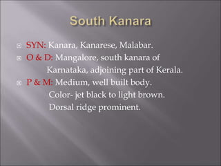  SYN: Kanara, Kanarese, Malabar.
 O & D: Mangalore, south kanara of
Karnataka, adjoining part of Kerala.
 P & M: Medium, well built body.
Color- jet black to light brown.
Dorsal ridge prominent.
 