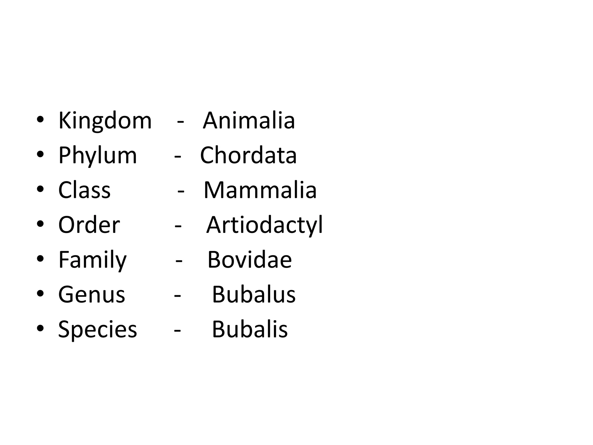 Buffalo breeds | PPT
